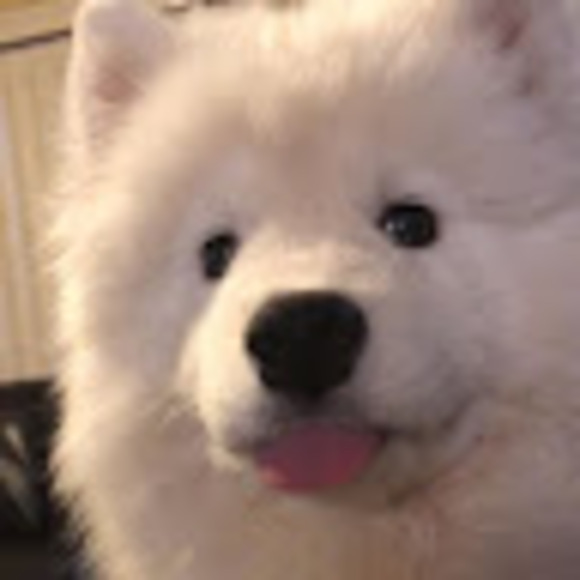 chloechristinej